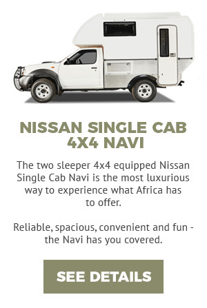 Nissan Single Cab Navi