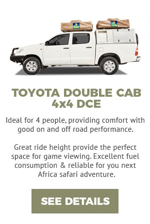 Toyota DCE 4x4